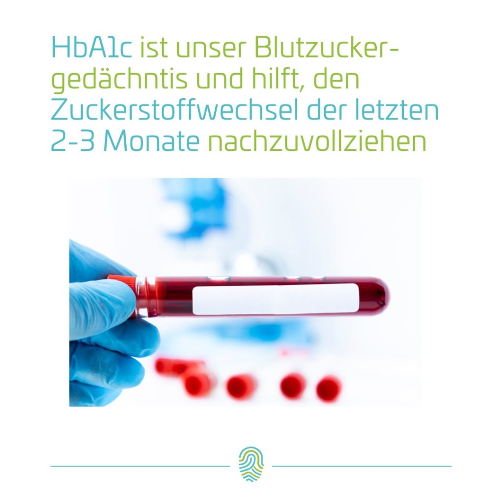 HbA1c ist unser Blutzuckergedächtnis