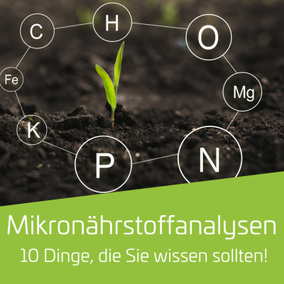 10 Dinge, die Sie über Mikronährstoffanalysen wissen sollten!