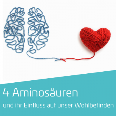 Vier Aminosäuren und ihre unmittelbaren Wirkungen auf unser Wohlbefinden