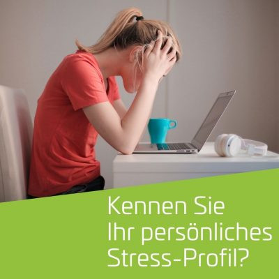 Persönliches Stress-Profil.