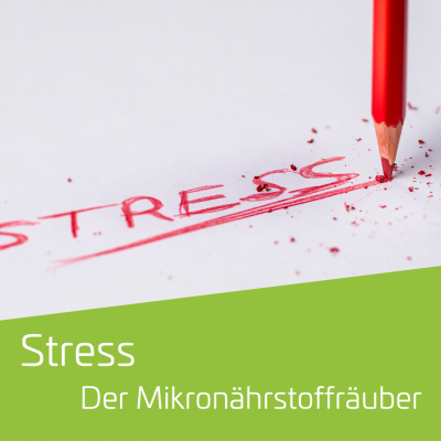 Stress, der Mikronährstoffräuber
