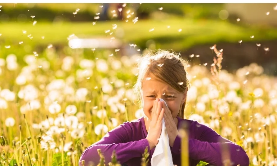 Volkskrankheit Allergie