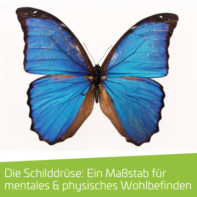 Die Schilddrüse: Ein Maßstab für mentales und physisches Wohlbefinden
