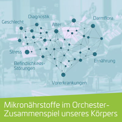 Das komplexe Netzwerk der Mikronährstoffe und ihrer Einflussfaktoren