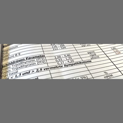 Erfahrungsbericht zur Mikronährstoffanalyse, männlich, 48 Jahre, Wissensarbeiter