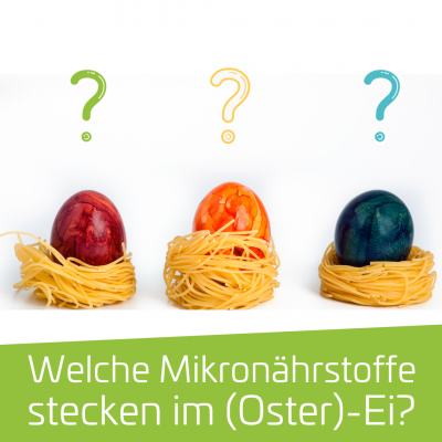 Welche Mikronährstoffe stecken im Ei?