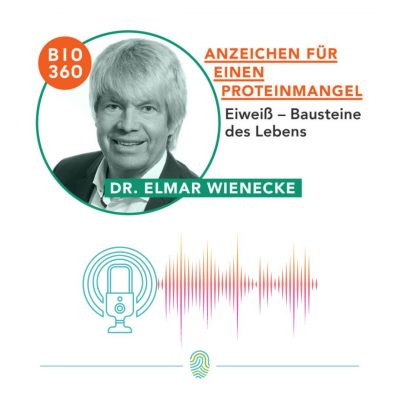 Wann und wie kommt es zum Proteinmangel?