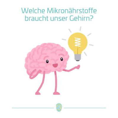 Mikronährstoffe für ein leistungsfähiges Gehirn