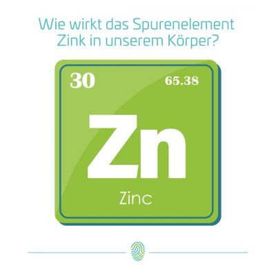 Mikronährstoff und Spurenelement Zink: Eine essenzielle Komponente für unsere Gesundheit