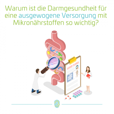 Warum ist die Darmgesundheit für eine ausgewogene Versorgung mit Mikronährstoffen so wichtig?
