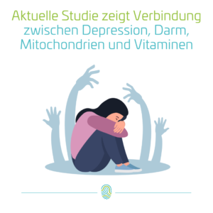 Studie Verbindung zwischen Depression, Darm-Mikrobiom Mitochondrien Vitaminen