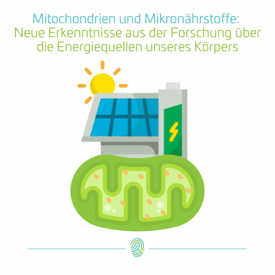 Die Zukunft der Gesundheitsvorsorge: Mitochondrien und Mikronährstoffe