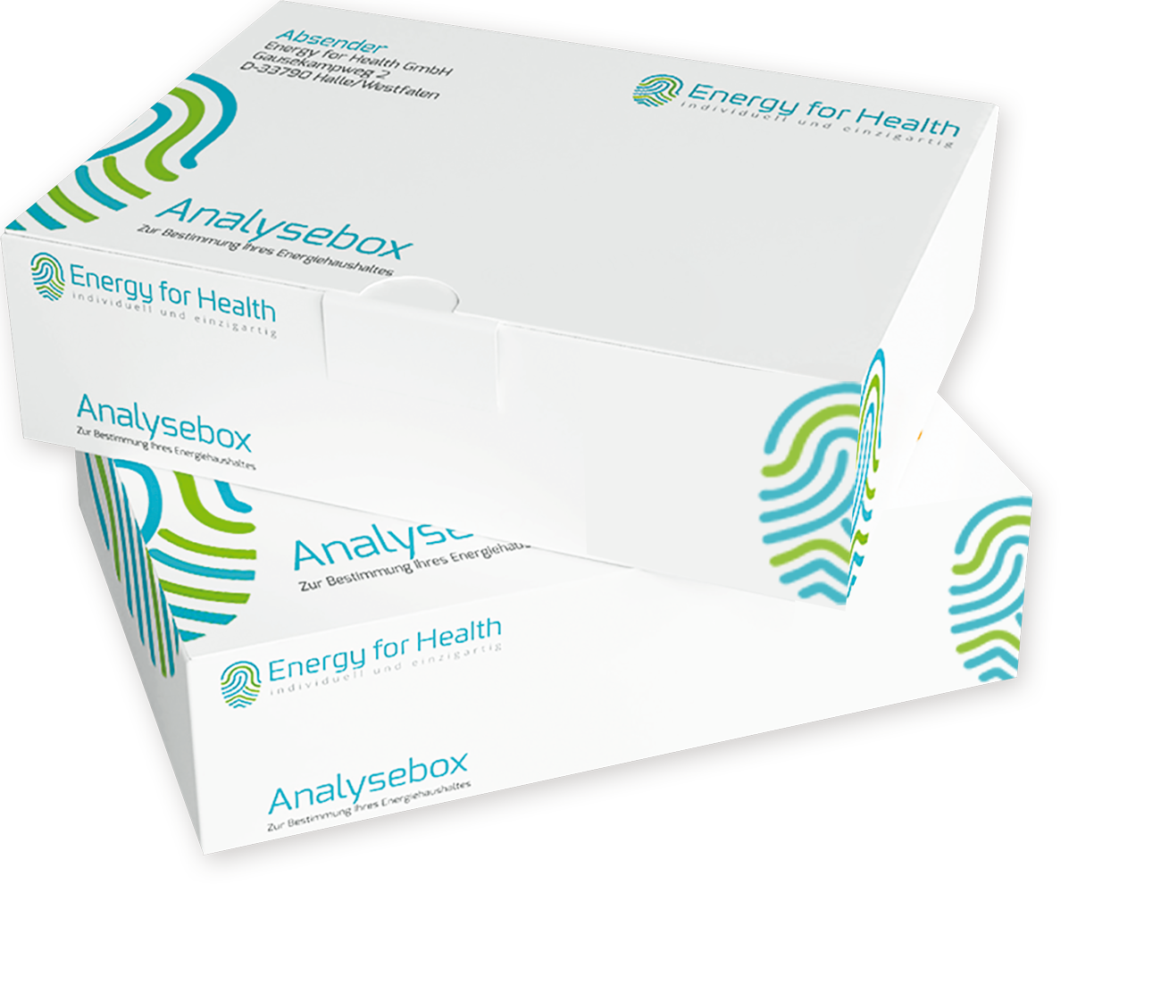 header-efh-boxen-2024