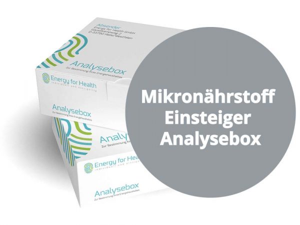 Mikronährstoff-Einsteiger-Analyse