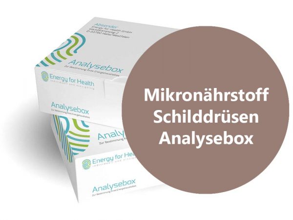 Mikronährstoff-Schilddrüsen-Analyse