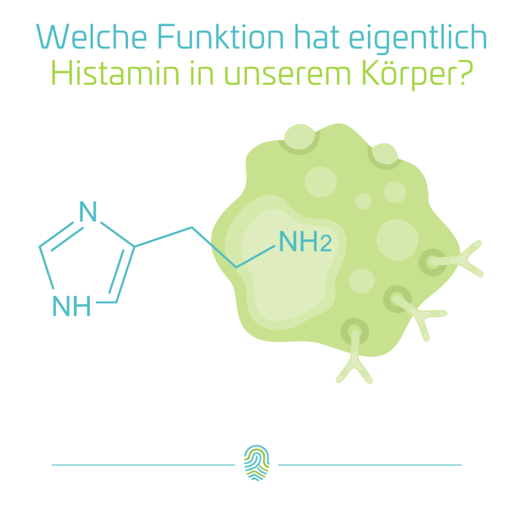 Histaminintoleranz - so helfen Mikronährstoffe