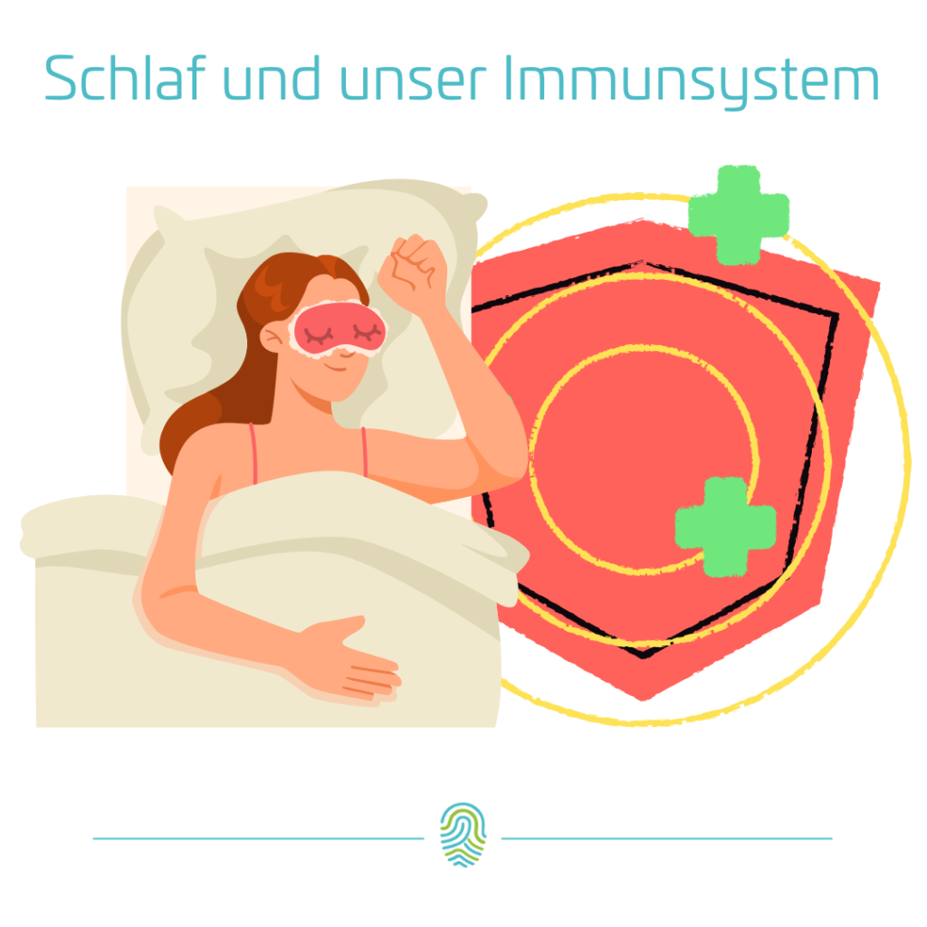 Schlaf und das Immunsystem