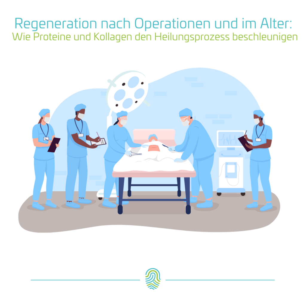 Regeneration nach Operationen und im Alter mit Aminosäuren.png