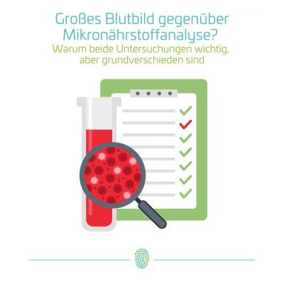 Großes Blutbild gegenüber Mikronährstoffanalyse? Warum beide Untersuchungen wichtig, aber grundverschieden sind