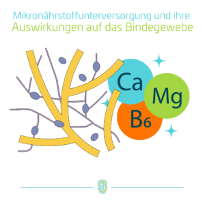 Mikronährstoffe und ihre Vorteile für das Bindegewebe
