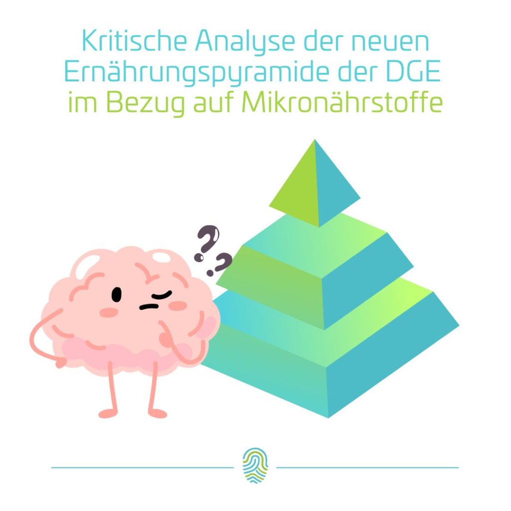 Ernährungspyramide und Mikronährstoffe