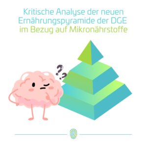 Ernährungspyramide und Mikronährstoffe