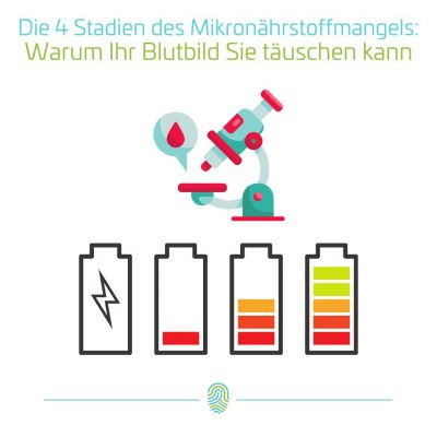 Die 4 Stadien des Mikronährstoffmangels: Warum Ihr Blutbild Sie täuschen kann