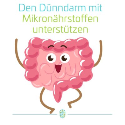 Der Dünndarm als Schlüsselorgan für Gesundheit und Leistungsfähigkeit ist auf Mirkonährstoffe angewiesen