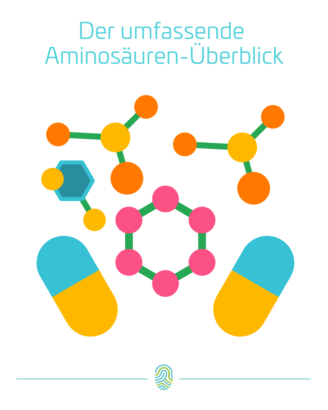 Der umfassende Aminosäuren-Überblick