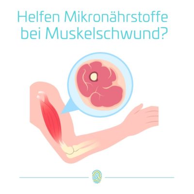 Proteinmangel und Muskelschwund als Wurzel vieler Zivilisationskrankheiten