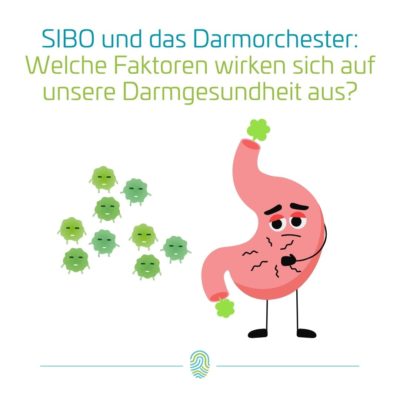 SIBO, Bakterien und Biofilm im Dünndarm: Was Experten über die verborgene Ursache chronischer Erkrankungen wissen