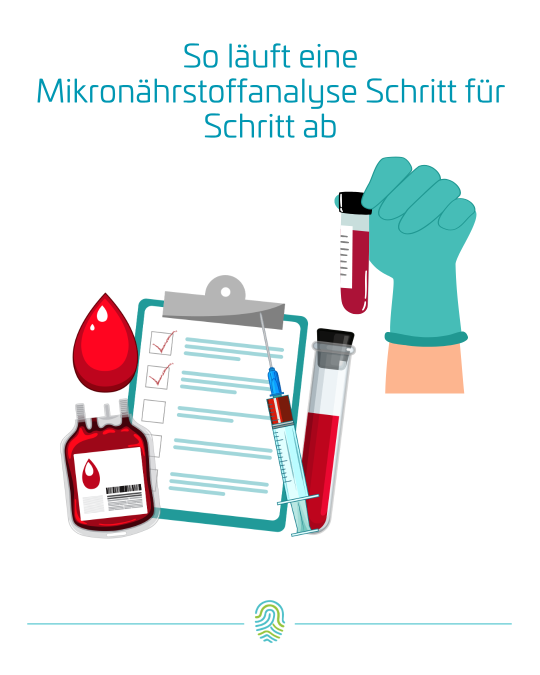 So läuft eine Mikronährstoffanalyse ab: Ihr Weg in 10 Schritten